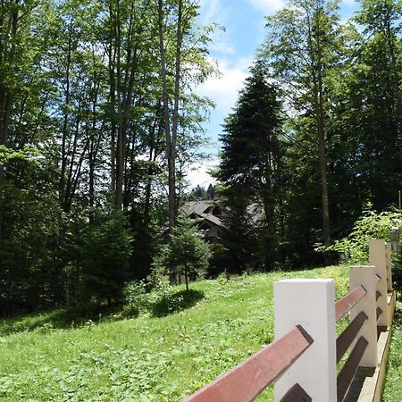 Alpin Residence Sinaia Buitenkant foto