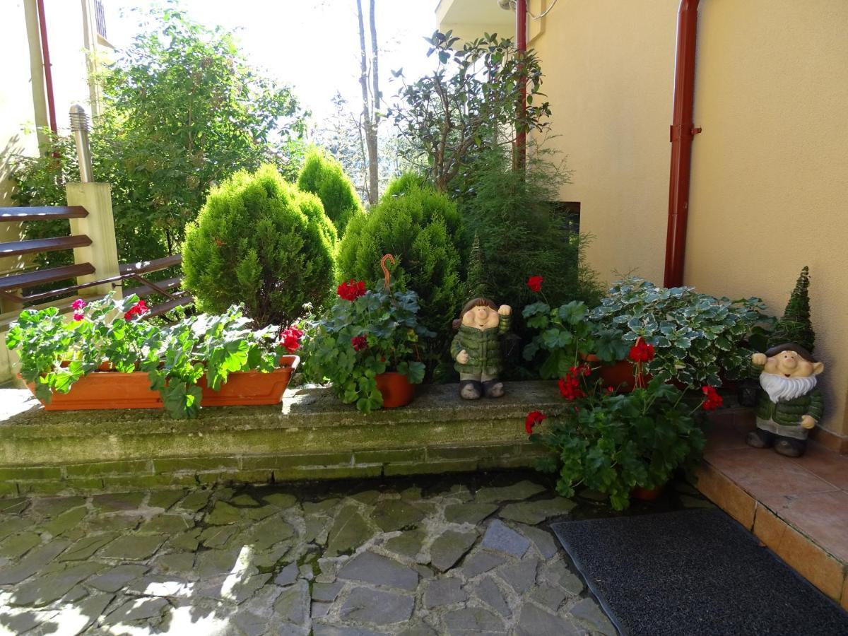 Alpin Residence Sinaia Buitenkant foto