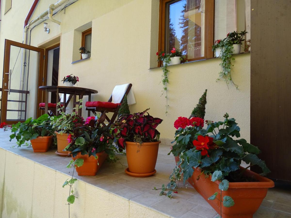 Alpin Residence Sinaia Buitenkant foto