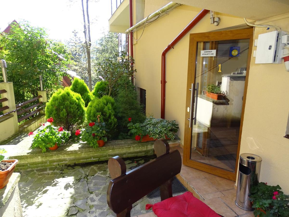Alpin Residence Sinaia Buitenkant foto