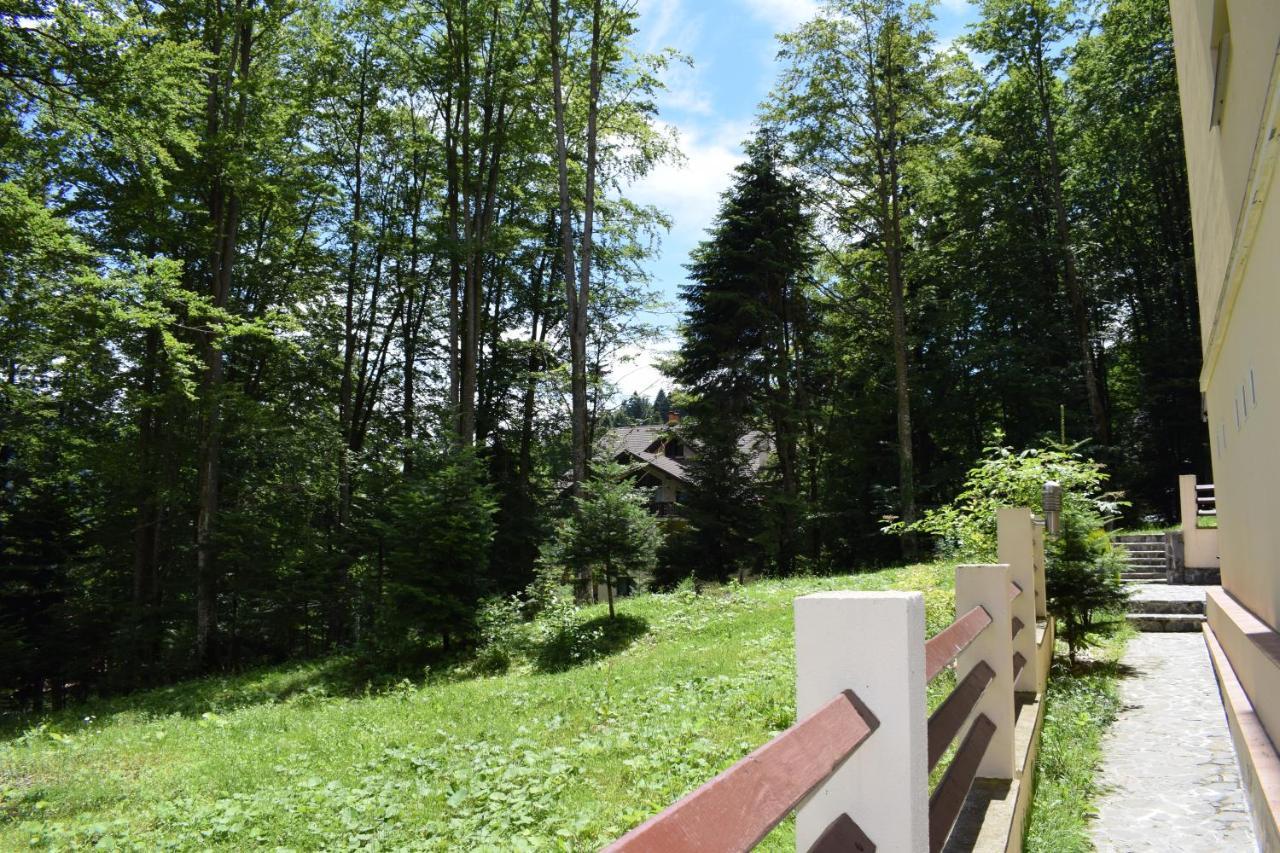 Alpin Residence Sinaia Buitenkant foto